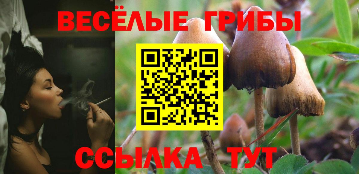 Псилоцибиновые грибы Psilocybe  Вход с VPN  сколько стоит  Бузулук 